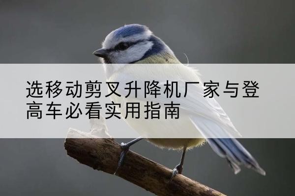 潜江电动升降机厂家-选移动剪叉升降机厂家与登高车必看实用指南