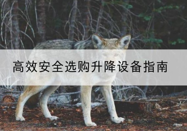 潜江升降货梯厂家推荐-*安全选购升降设备指南